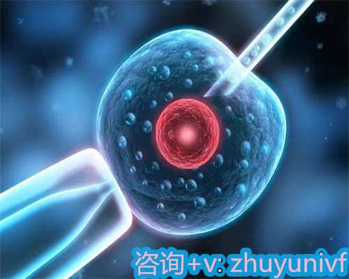 成都助孕指南：专业供卵与辅助生殖医疗服务解析