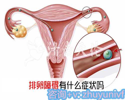 深圳供卵助孕：第三代试管医院排名、费用与成功率深度解析