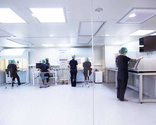 解锁生育困境：供卵试管助孕策略与权威机构指南