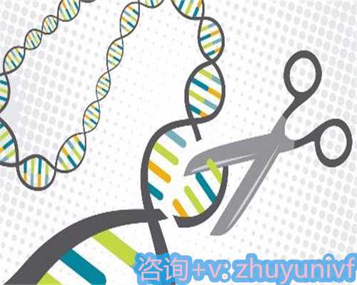 RFC生殖中心：87%试管成功率的深度解析