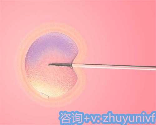 提升受孕成功率的助孕秘诀与策略