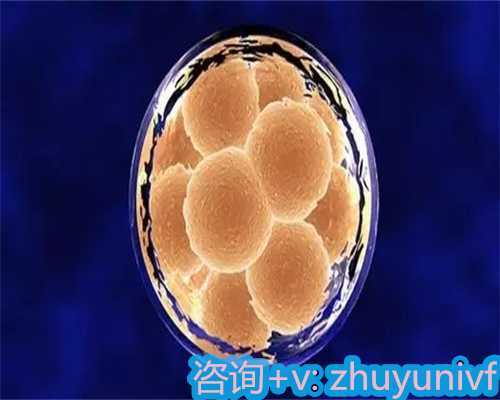 囊胚移植白板验血成功可能性与真实案例分享