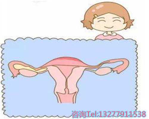 海南省辅助生殖机构一览（2026）：私立医院服务与费用构成分析