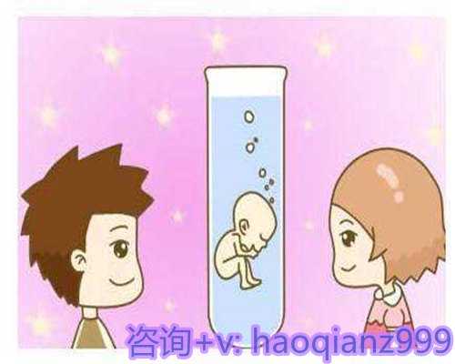 2026年湛江供卵试管助孕攻略：医院选择、卵源现状与成功率详尽解析