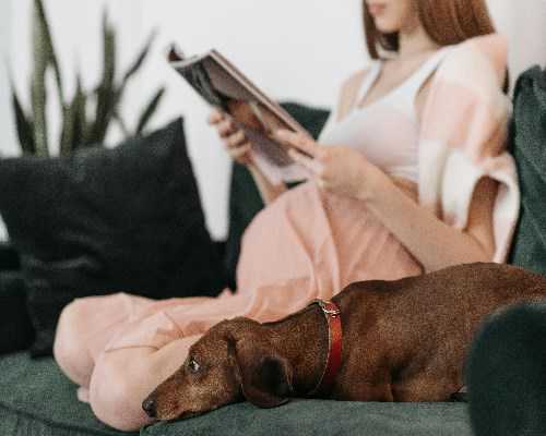 杭州辅助生殖：揭秘试管婴儿与代怀助孕的正规选择