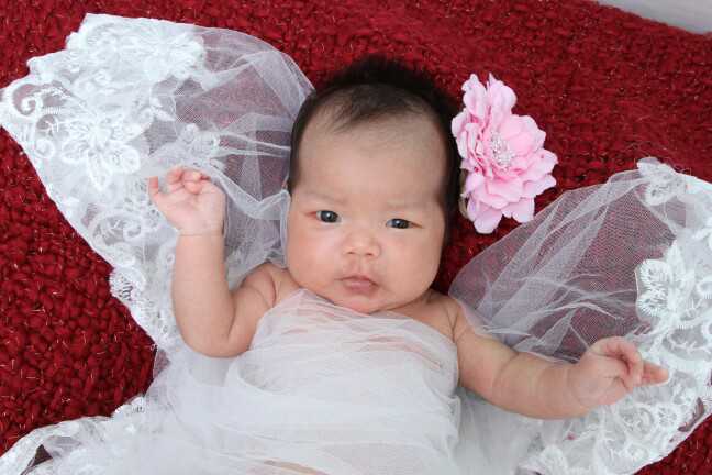 试管精子取出体外存活时间解析